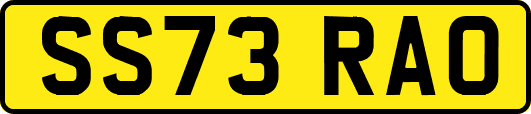 SS73RAO