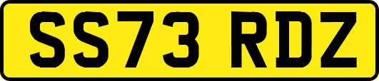 SS73RDZ