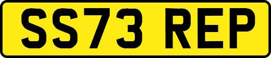 SS73REP