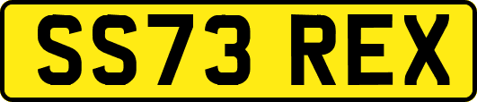 SS73REX
