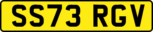 SS73RGV