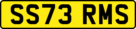 SS73RMS
