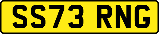 SS73RNG