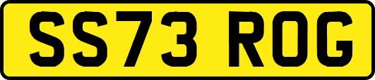 SS73ROG