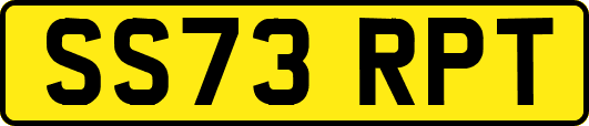 SS73RPT