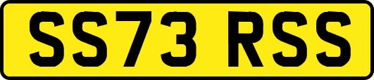 SS73RSS
