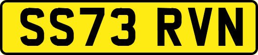 SS73RVN