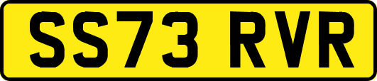 SS73RVR
