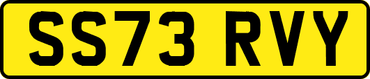 SS73RVY