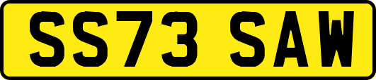 SS73SAW