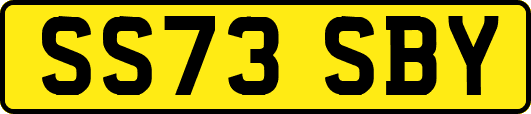SS73SBY