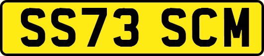 SS73SCM