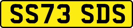 SS73SDS