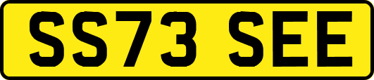 SS73SEE