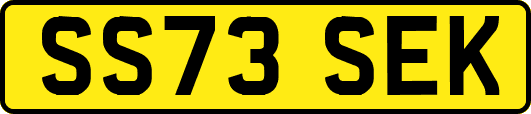 SS73SEK