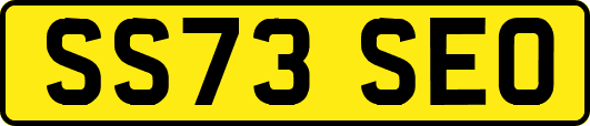 SS73SEO