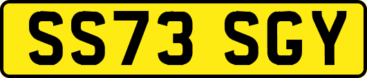 SS73SGY