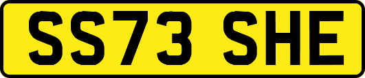 SS73SHE