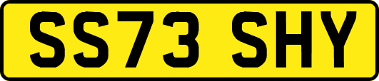 SS73SHY
