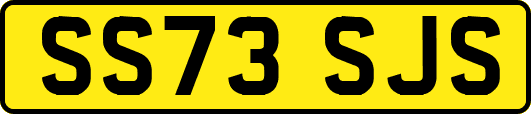 SS73SJS