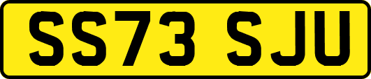 SS73SJU