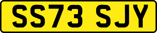 SS73SJY