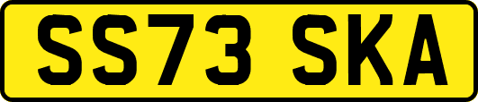 SS73SKA