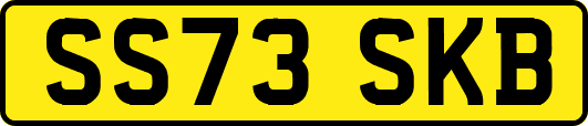 SS73SKB