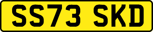 SS73SKD