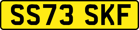 SS73SKF