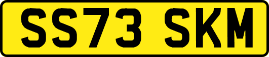 SS73SKM