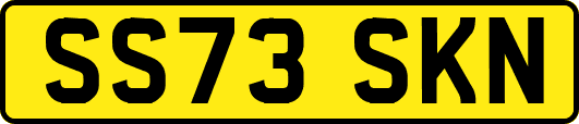 SS73SKN