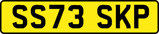 SS73SKP