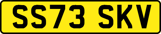 SS73SKV