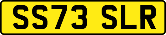 SS73SLR