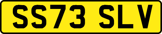 SS73SLV