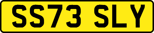 SS73SLY