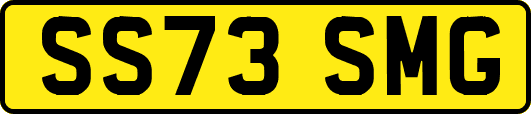 SS73SMG