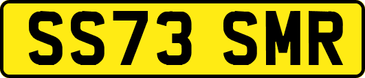 SS73SMR