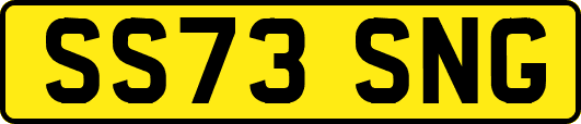 SS73SNG