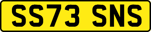 SS73SNS