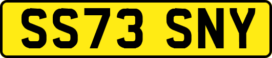 SS73SNY