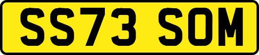 SS73SOM