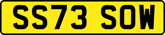 SS73SOW