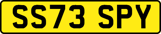 SS73SPY