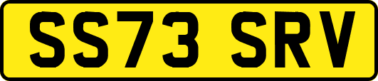 SS73SRV