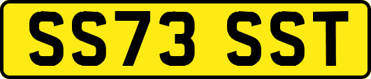 SS73SST