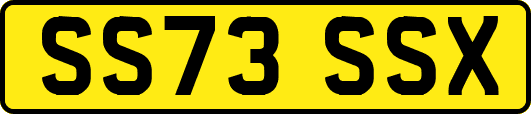 SS73SSX