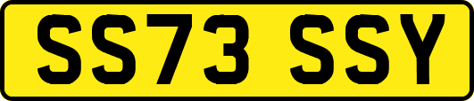 SS73SSY