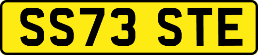SS73STE